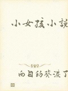小女孩小说