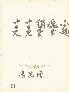 寸寸销魂小说全文免费笔趣阁