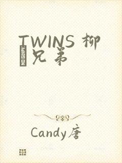 TWINS 柳澤兄弟