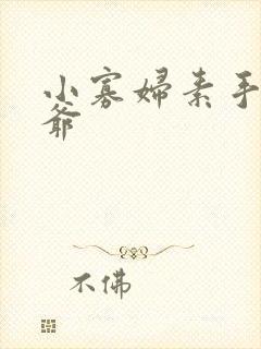 小寡妇素手擒四爷