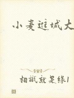 小麦进城大结局