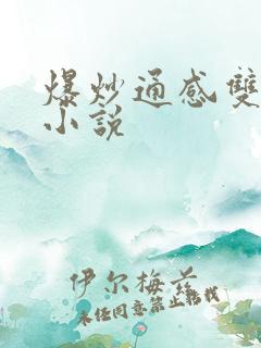 爆炒通感双胞胎小说