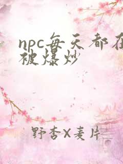 npc每天都在被爆炒