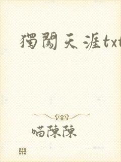 独闯天涯txt