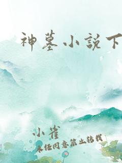 神墓小说下载