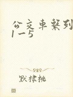 公交车系列合集1一5