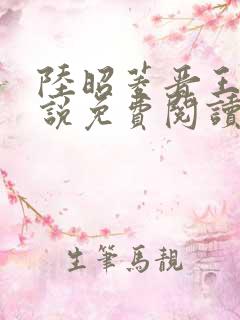 陆昭菱晋王的小说免费阅读