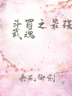 斗罗之最强治疗武魂