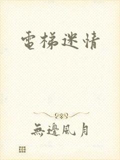 电梯迷情