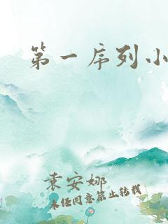 第一序列小说
