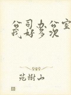 公司办公室c了我好多次