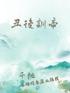 丑后训帝
