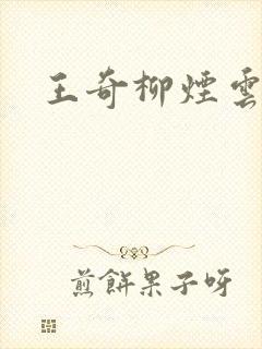 王奇柳烟云