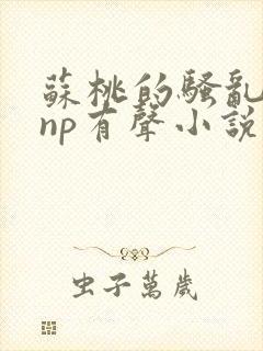 苏桃的骚乱文肉np有声小说