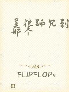 美狼师兄到底选哪个