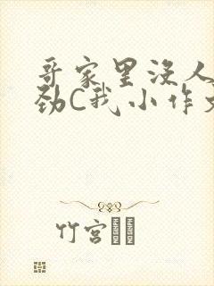 哥家里没人使点劲C我小作文视频