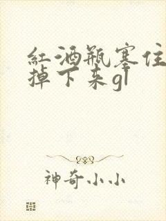 红酒瓶塞住不准掉下来gl