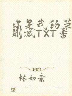 你是我的荣耀未删减TXT番外