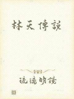 林天传说