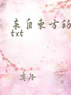 来自东方的骑士txt
