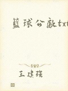 篮球公敌txt