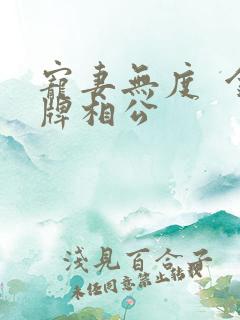 宠妻无度 金牌相公