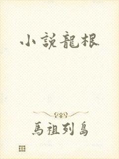 小说龙根