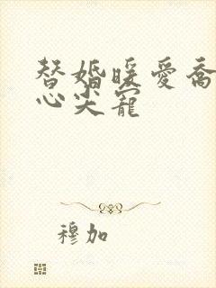 替婚暖爱乔少的心尖宠