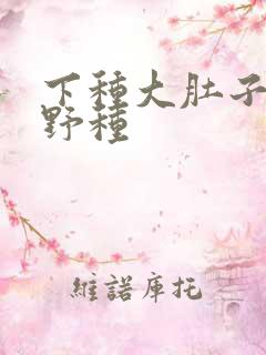 下种大肚子怀孕野种