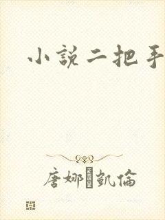 小说二把手
