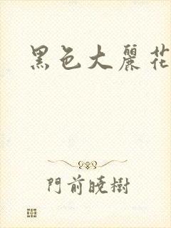 黑色大丽花图片