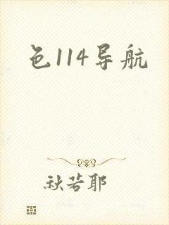 色114导航
