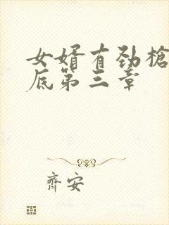 女婿有劲枪枪到底第三章