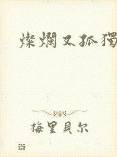 灿烂又孤独的神