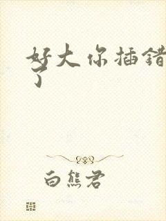 好大你插错地方了