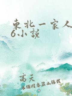 东北一家人1一6小说
