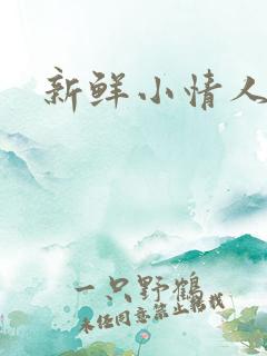 新鲜小情人