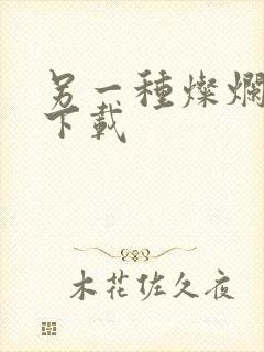 另一种灿烂生活下载