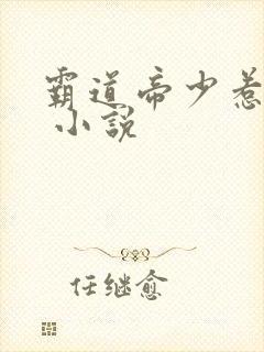 霸道帝少惹不得 小说