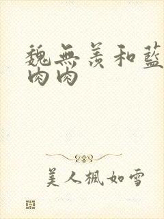 魏无羡和蓝忘机肉肉