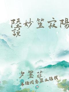 陆妙笙寂阳朔小说