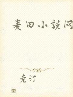 麦田小说网