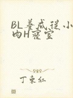 BL养成从小被肉H寝室