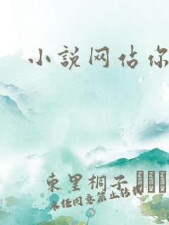 小说网站你懂的