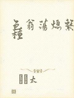 色翁荡熄系列借种