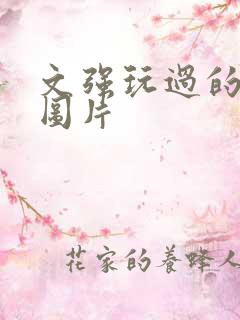 文强玩过的女人图片