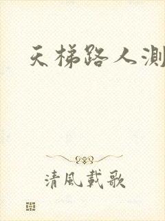 天梯路人测试器