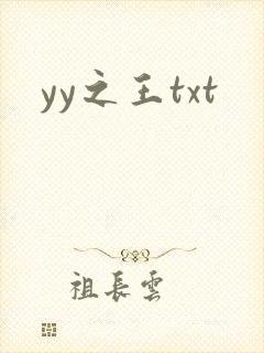 yy之王txt