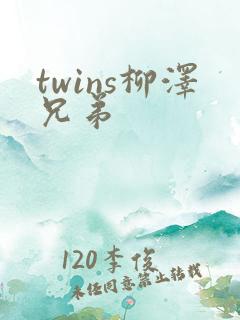 twins柳泽兄弟