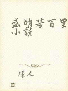 盛明若百里轻尘小说